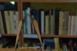 „Laukinės vaivorykštės“ Dauguose šiemet stebins žanrų įvairove ir garsenybėmis