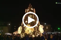 Lazdijuose  nušvito pagrindinė rajono eglė