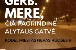 Ieva Budraitė: „Čiuožykla gatvėse, arba kodėl Alytaus valdžia negerbia savo žmonių?“ (ATNAUJINTA)