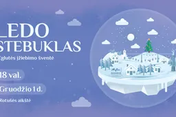 Alytaus Kalėdų eglutės įžiebimas virs Ledo stebuklu