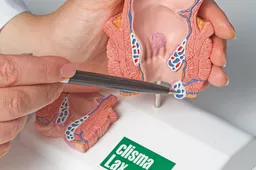 Lėtinis prostatitas – vyrų sveikatai pavojinga liga