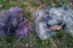 Draudimas žvejoti lydekas baigėsi, dabar negalima gaudyti karšių ir dar kelių rūšių žuvų