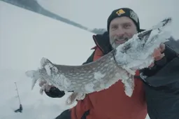 Už kiekvieną draudžiamu metu sužvejotą lydeką teks atlyginti šimtais eurų