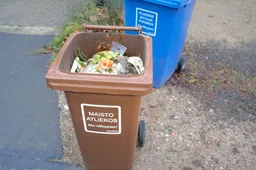Atliekų reikalai: ar galima nupjautą žolę ir kitas žaliąsias atliekas mesti į maisto atliekų konteinerius?
