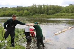 „Moškės“ grįžta? Į Nemuną išpiltas preparatas upiniams mašalams naikinti