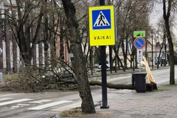 Nuvirtęs medis užtvėrė Pulko gatvę