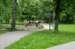 Jau prasidėjo Meilės labirinto statybos