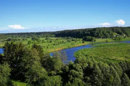 Atsinaujinusio Merkinės piliakalnio lankytojus skaičiuos skaičiuotuvas