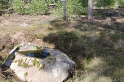Policijos ieškota grybautoja sugrįžo namo