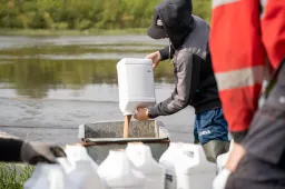 Į Nemuną išpiltas kraujasiurbių mašalų lervoms naikinti skirtas preparatas