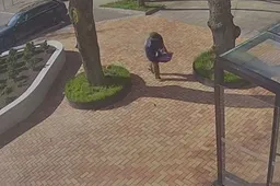 Ieškomas skulptūrą prie gatvės pavogęs vyras