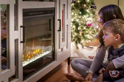 Ar verta investuoti į elektrinį židinį?