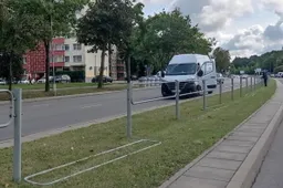 Naujojoje g. – rudeninio apželdinimo darbai