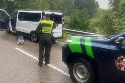 Lenkui – nemalonumai dėl sirais apsimetusių Dzūkijoje sulaikytų egiptiečių