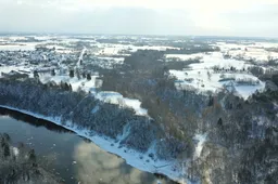 Nemuno salose vėl lauks žuvėdrų