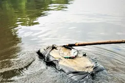 Pamatė Nemune plaukiantį juodos spalvos ryšulį