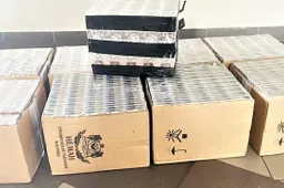 Vyrai ieškojo ne paparčio žiedo