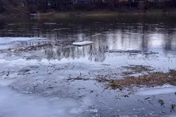 Nemunu Lietuvą rūkalų kontrabanda pasiekia plaustuose su GPS siųstuvais