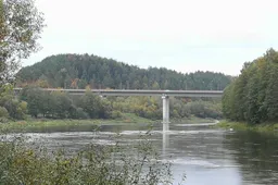 Žvejų svajonė pagauti lašišą ties Birštonu, Merkyje ar kažkur kitur gali tapti realybe