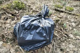 Nešikus sulaikė po trumpų gaudynių