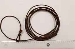 Norūnuose visi brakonierių norai neišsipildė