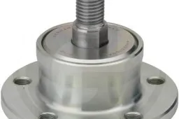 NSK guoliai: 5 dalykai, ką turite apie juos žinoti