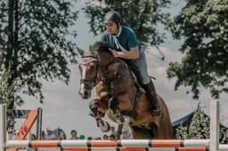 Žirgininkai kviečia į Druskininkų aerodromą ir Revų kaimą