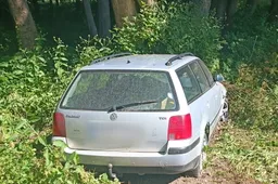 Girtas vairuotojas kliudė medį