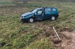 Girtas nuvažiavo į pievas