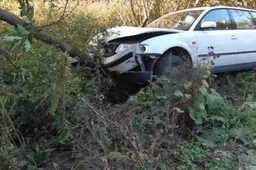 Girtas vairuotojas atsitrenkė į medį