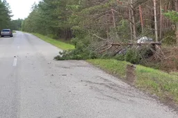 Žolinės „derlius“: girtam važiavusiam vyrui gresia baudžiamoji atsakomybė, dar devynių laukia didelės baudos ir teisės vairuoti atėmimas