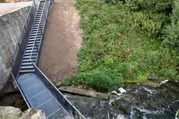 Tvarkoma Kumečių krioklio aplinka