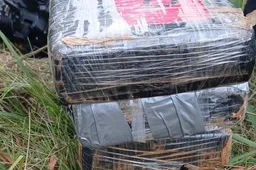 Gerai žinomą vyrą Alytaus policija sulaikė su kroviniu