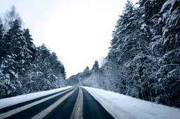 Savaitgalį – iki 15 laipsnių šalčio, kitą savaitę laukiama atodrėkio