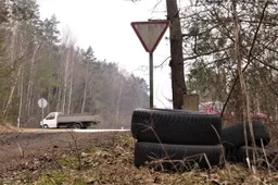 Gamtos turtų pilni Dzūkijos miškai slepia ir tamsiąją pusę – tonas išmestų padangų