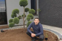 Ekologija tampa vis svarbesnė ir aplinkotvarkoje