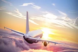 Palaikų pargabenimas lėktuvu iš užsienio