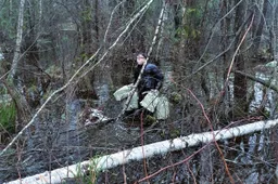 Per pelkę klampojo apsikrovęs nešuliais