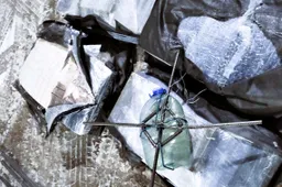 Įtartinas objektas buvo panašus į lytį