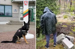 Su įkalčiais sulaikė Lazdijų rajono gyventoją