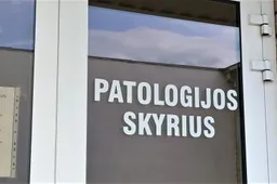 Vienas vyras dingo, kitas negyvas aptiktas miške, rastos ir neaiškiomis aplinkybėmis mirusios moterys