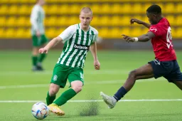 DFK „Dainava“ du kartus pirmavo prieš čempioną