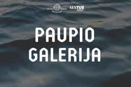 Šalia Baltosios rožės tilto įsikurs Paupio galerija
