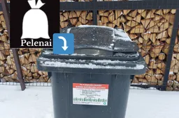 Jei pelenai keliauja į konteinerį - meskite tik atvėsintus ir supiltus į maišelius