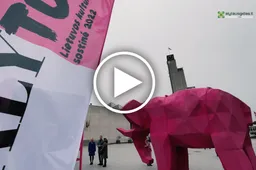 Rotušės aikštėje mėnesį stovės rožinis dramblys