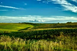 Kodėl valstybinė žemė neturi būti perduota savivaldybėms?