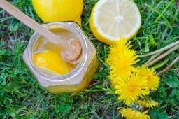 Kuo mūsų sveikatai naudinga žolių karaliene vadinama, tačiau piktžole laikoma pienė?