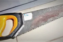 Varėniškis pademonstravo ne tik nešiko įrankius, bet ir pjovėjo įgūdžius