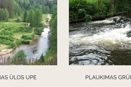 Ar saugomose gamtos teritorijose Dzūkijoje poilsiaujame atsakingai?