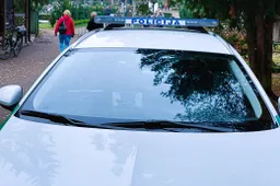 Negyvas vyras Alytuje rastas kapinėse